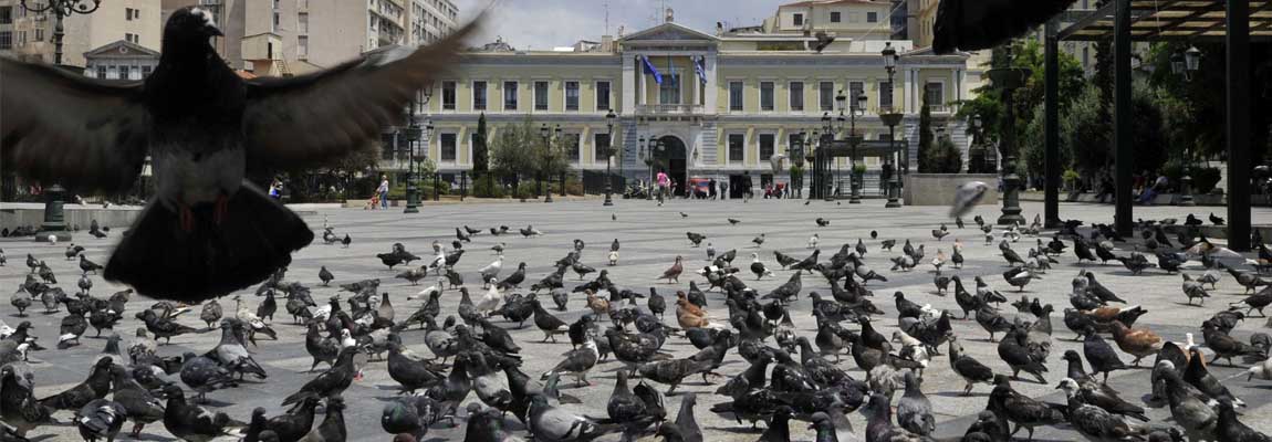 Controle de Pragas 24 horas